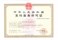 网银在线（北京）科技有限公司支付牌照